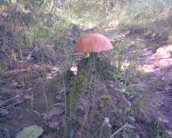 ПРИРОДА краю