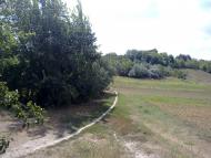 Фото М Макоти