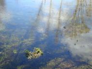 Весна прийшла