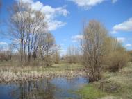 Весна прийшла