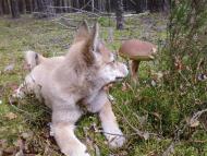 природа та традиції