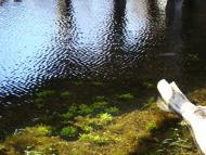 Весна прийшла