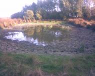 ПРИРОДА краю