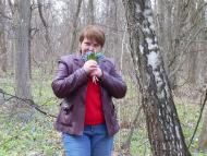 Сільські краєвиди