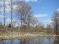 Весна прийшла