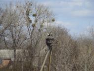 Весна прийшла