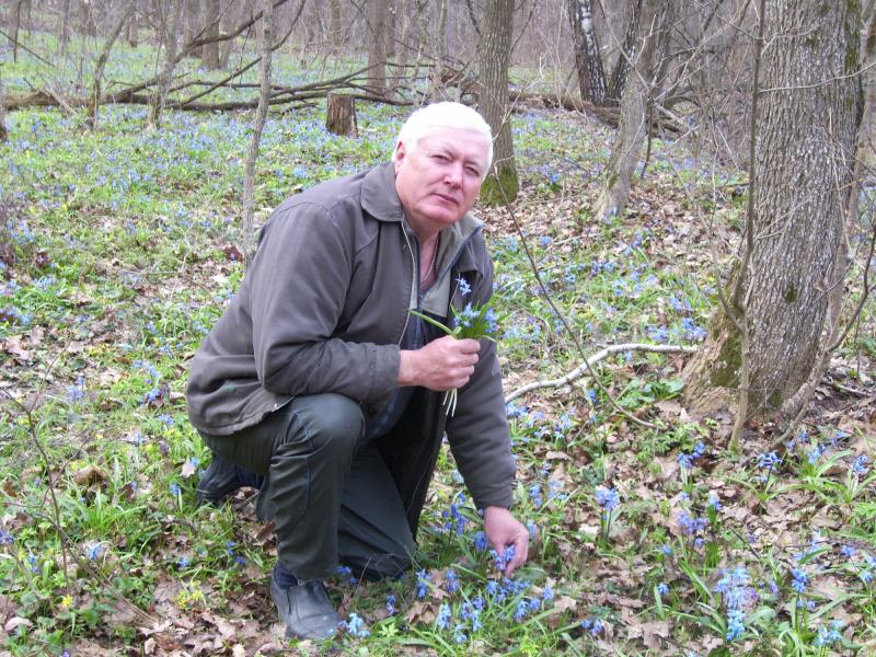 Сільські краєвиди - Гаевщина