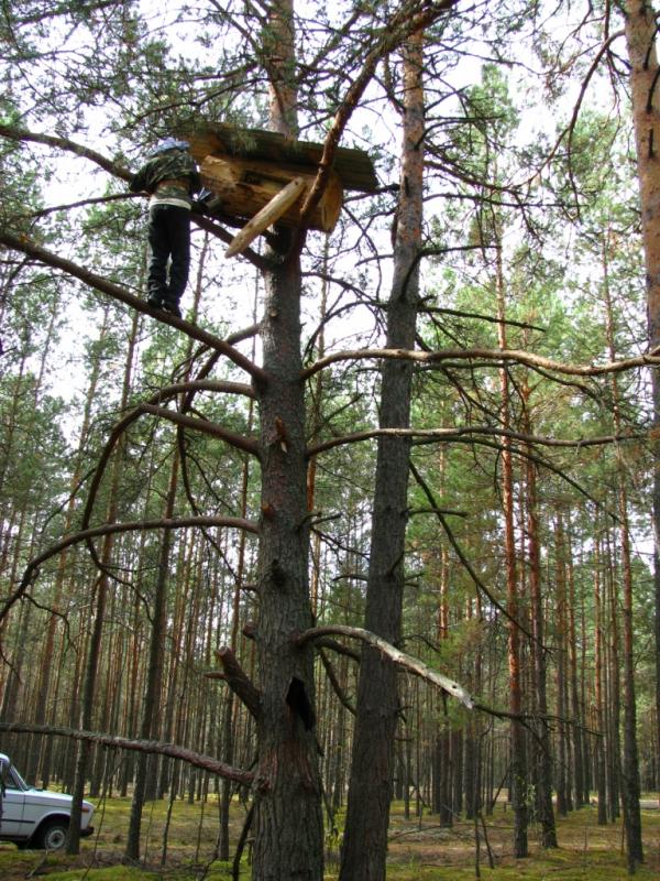 природа та традиції - Селезовка