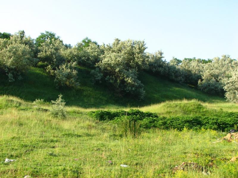 Мое родное село - Ostrytsya