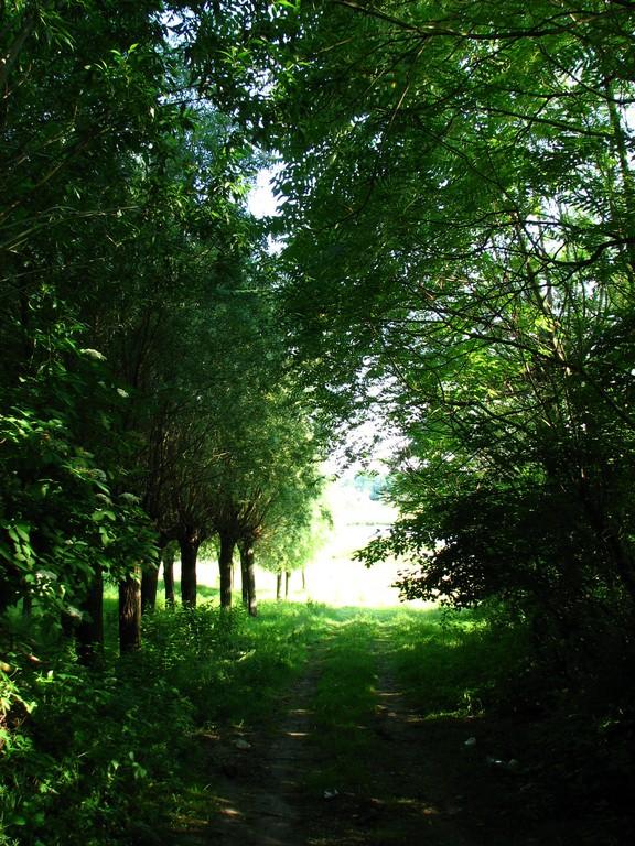 Мое родное село - Ostrytsya