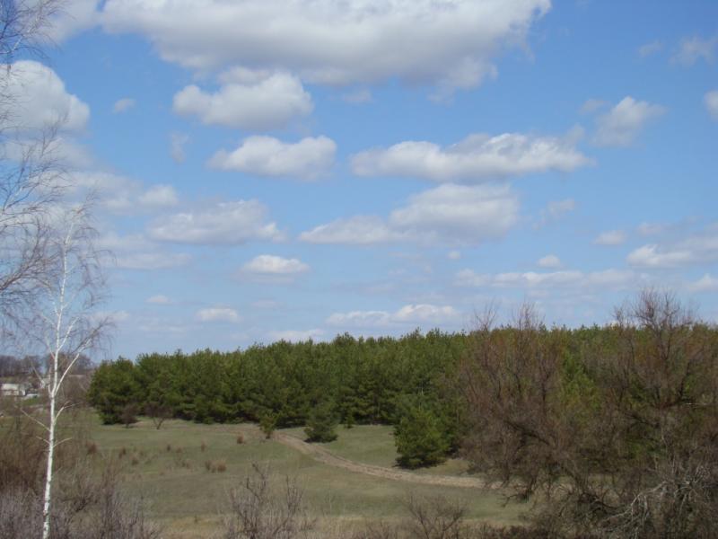 Весна прийшла - Білоусівка