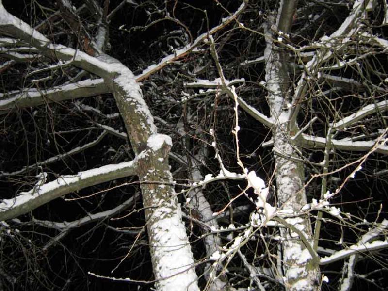 _Зимова казка - Иваница