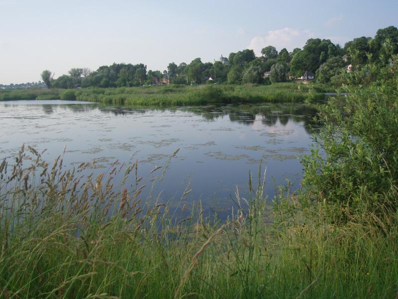 чистилівський заказник - Чистилов