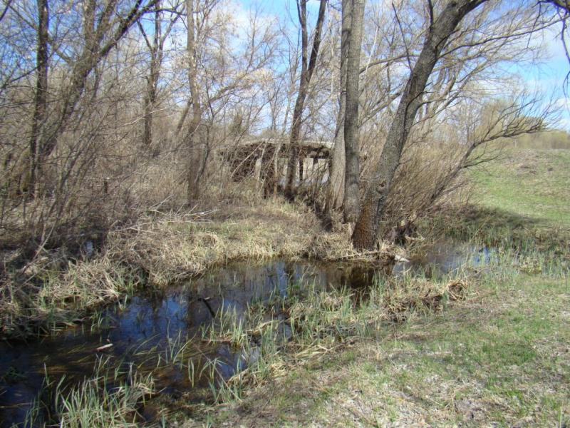 Весна прийшла - Білоусівка