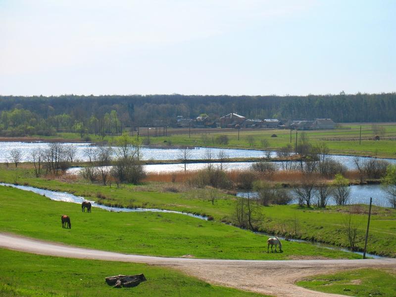 МОЄ СЕЛО - Вертелка
