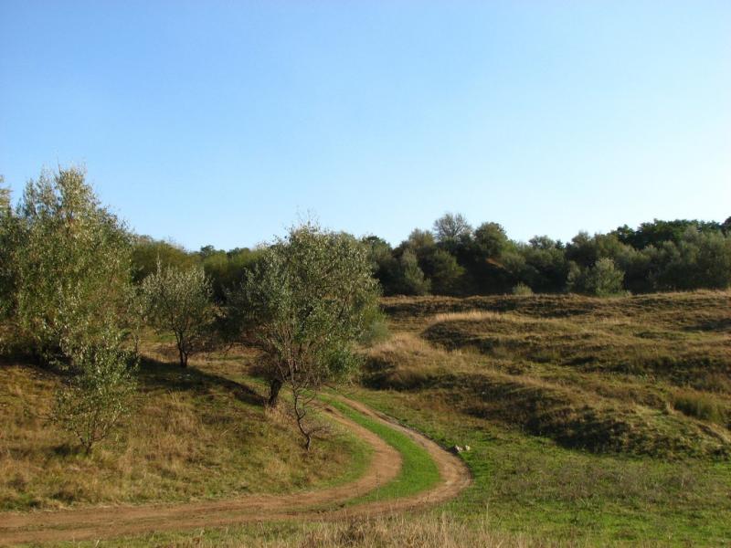 Мое родное село - Ostrytsya