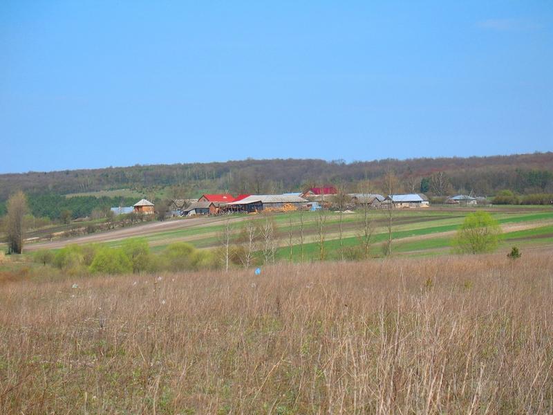 МОЄ СЕЛО - Вертелка