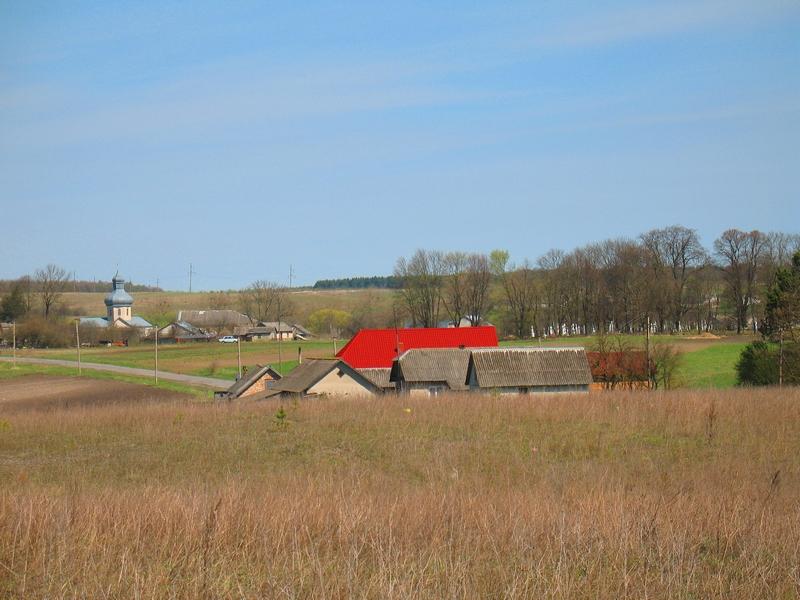 МОЄ СЕЛО - Вертелка