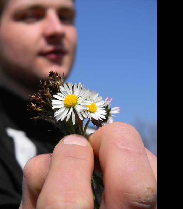 moe selo - Драгасимів