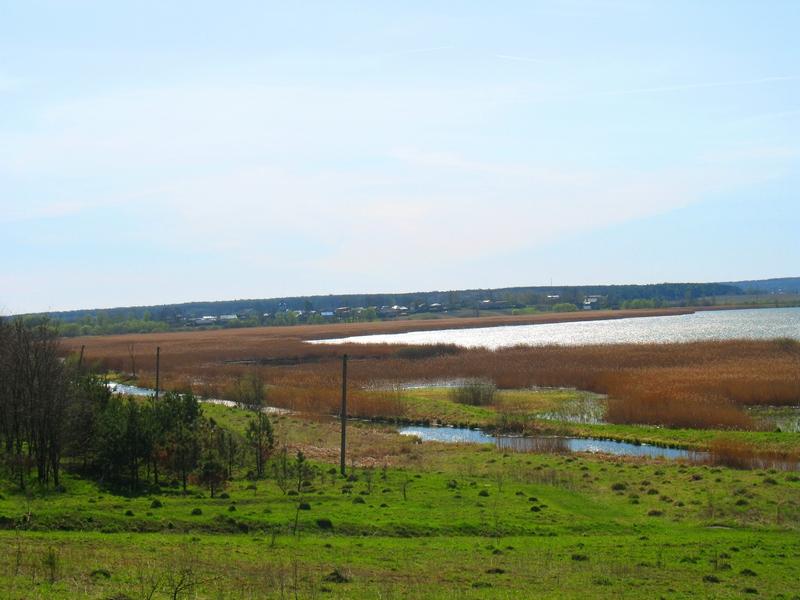 МОЄ СЕЛО - Вертелка