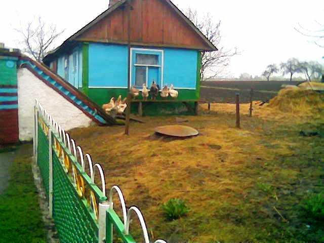 Друзі мої менші - Шклинь