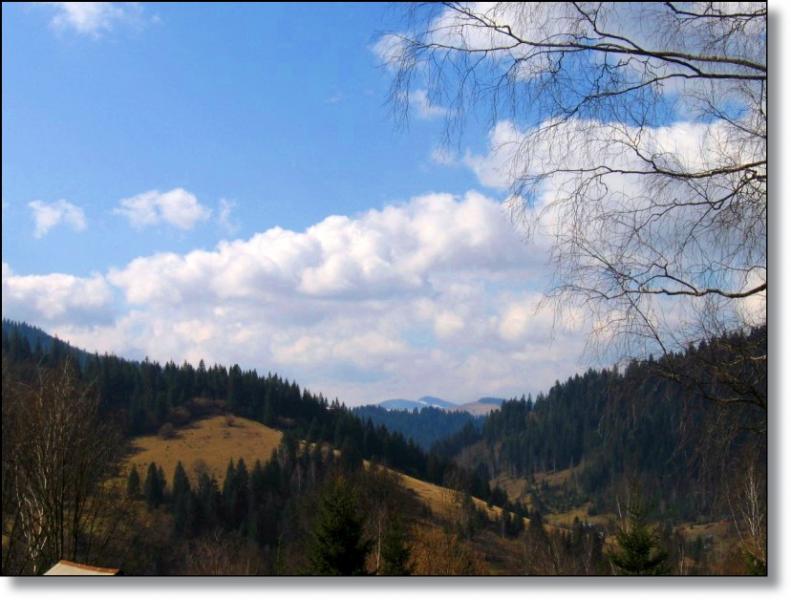 Краєвиди села Криворівня: - Криворивня