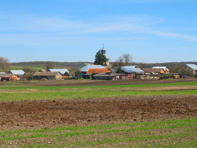 МОЄ СЕЛО - Вертелка