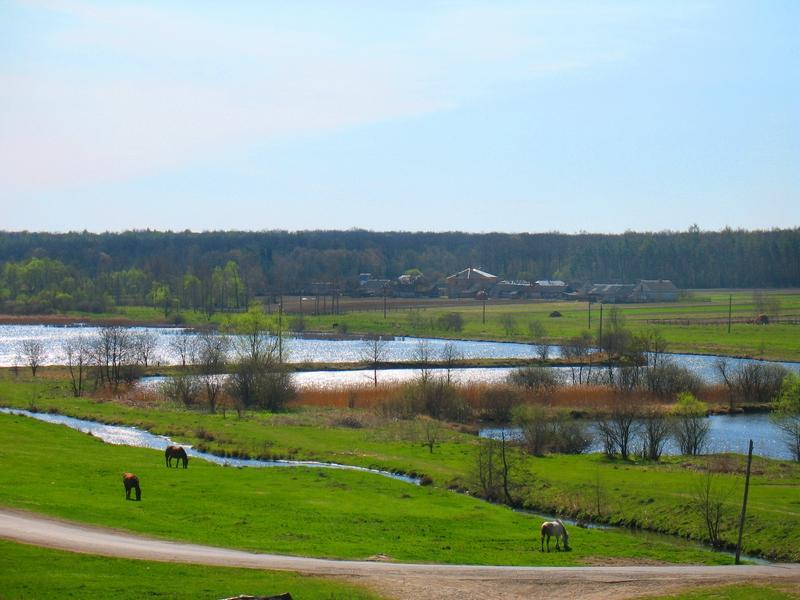 МОЄ СЕЛО - Вертелка