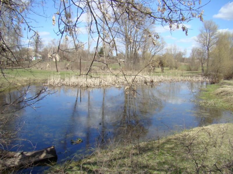 Весна прийшла - Білоусівка