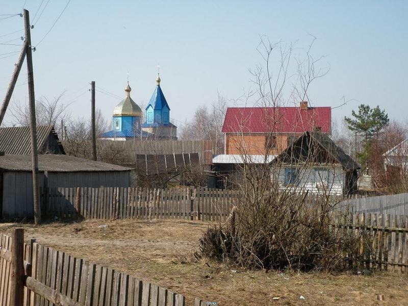 Сельский пейзаж - Колки