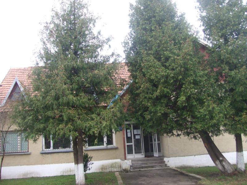 сільська рада - Любинці