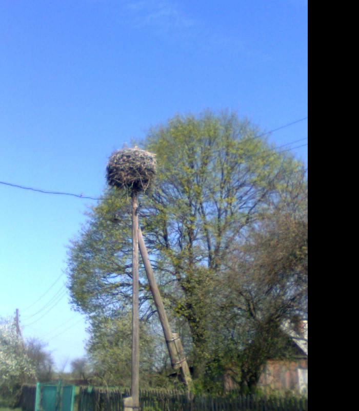 Стремінь - Стремінь