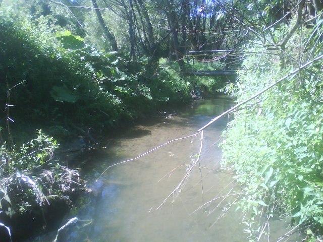 Наші фото - Волошиново