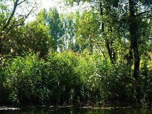 чистилівський заказник - Чистилов