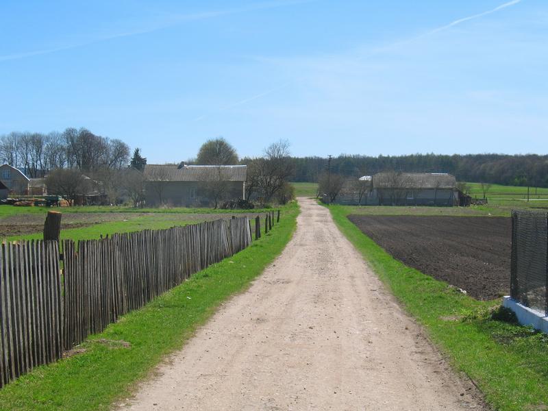 МОЄ СЕЛО - Вертелка