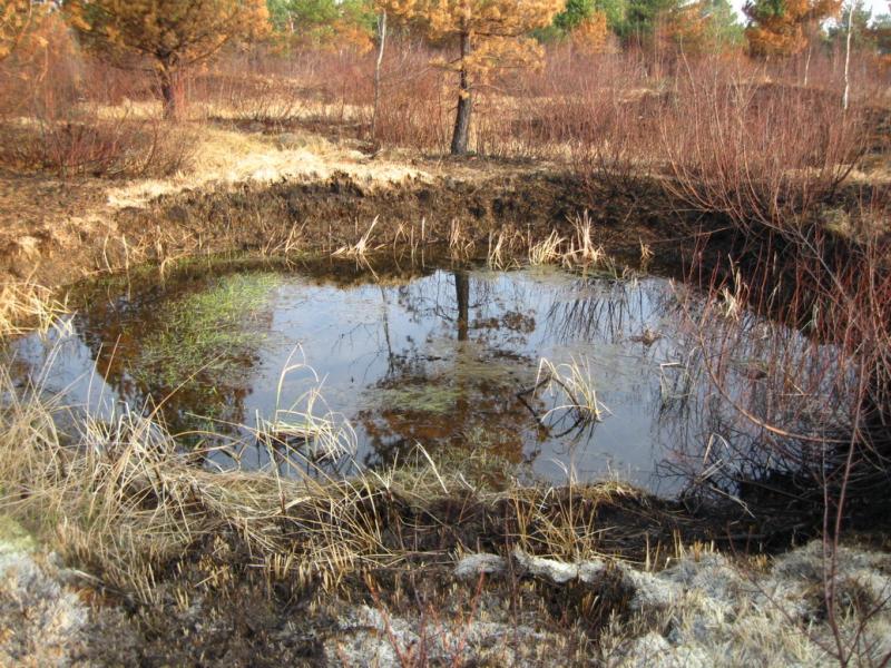РОПЛЄНКЕ - Небылов