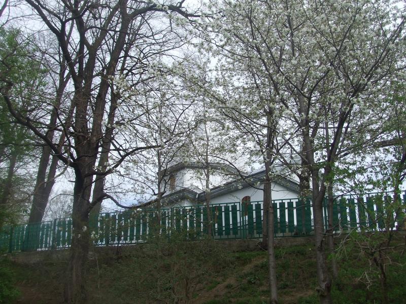 церква святої Параскевії - Жулин