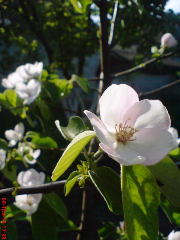 Разное - Галаганівка