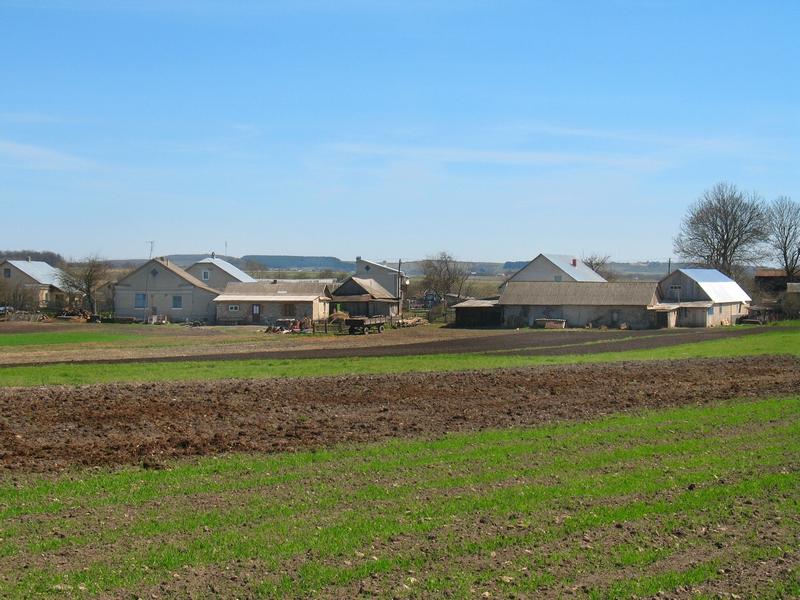 МОЄ СЕЛО - Вертелка