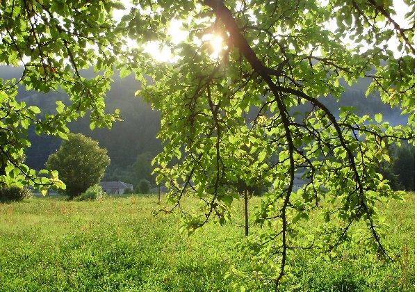 моє село - Голятин