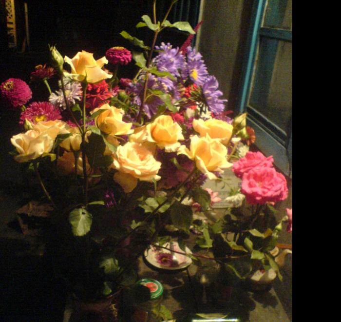 Моменти із села - Карвинівка