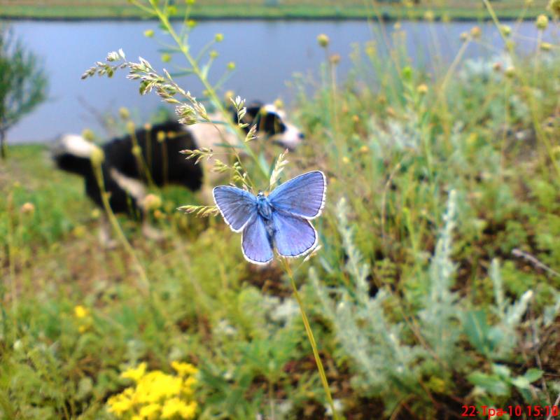 Природа - Галагановка