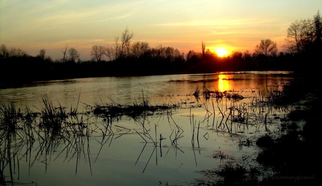 Ивчанские вечера - Ivcha