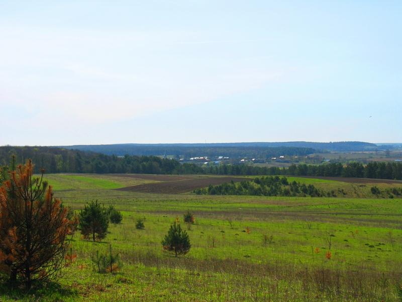МОЄ СЕЛО - Вертелка