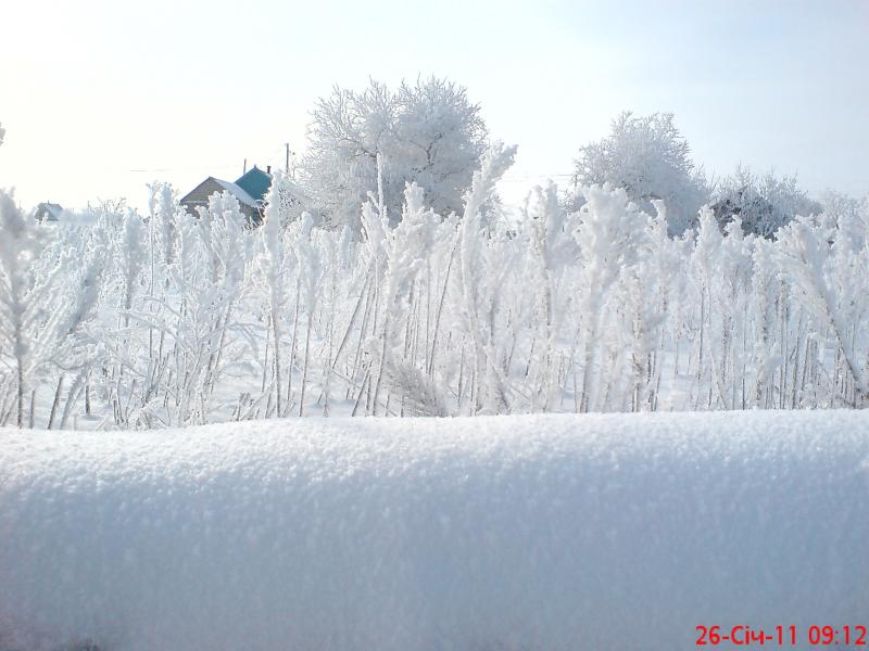 Разное - Галаганівка