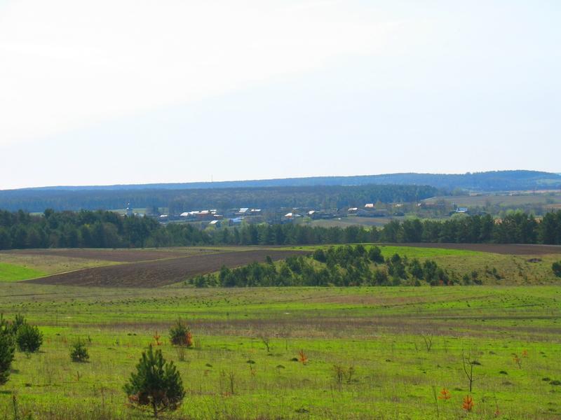 МОЄ СЕЛО - Вертелка
