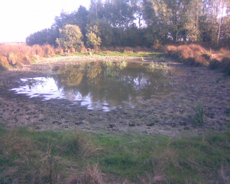 ПРИРОДА краю - Хоробичі