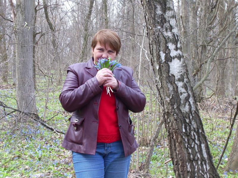 Сільські краєвиди - Гаевщина