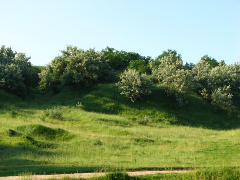 Мое родное село - Ostrytsya