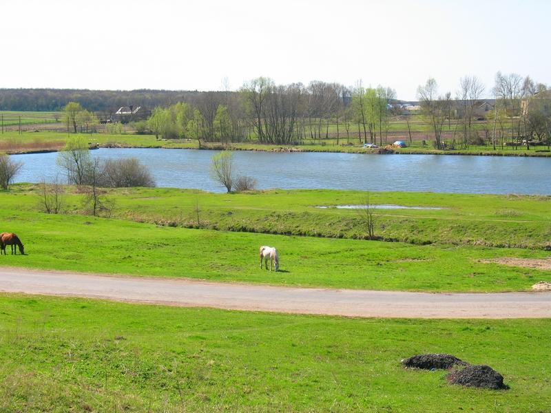 МОЄ СЕЛО - Вертелка